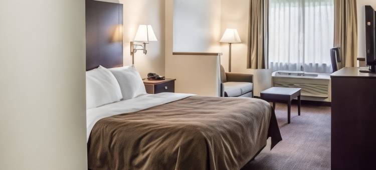 凯艺套房酒店(Quality Inn & Suites)图片