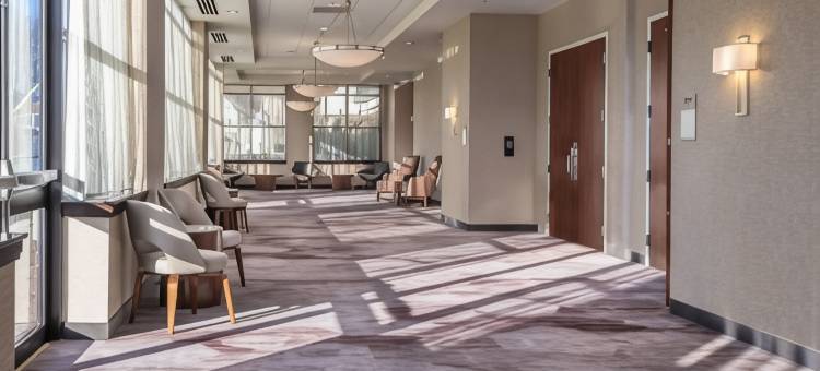 纽瓦克-特拉华大学万怡酒店(Courtyard Newark-University of Delaware)图片