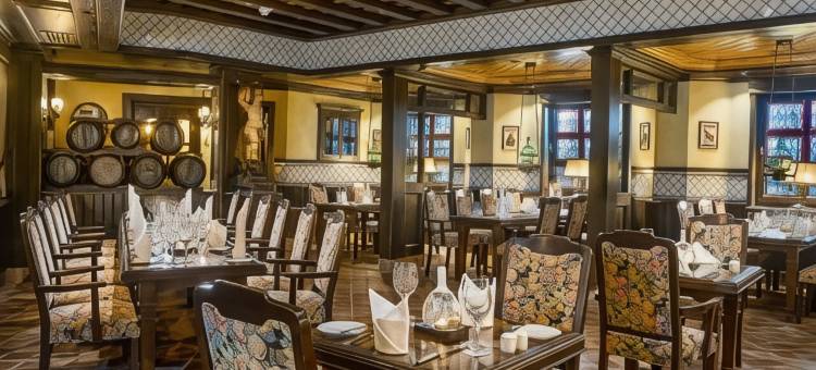 玛丽蒂姆伍兹堡酒店(Maritim Hotel Würzburg)图片