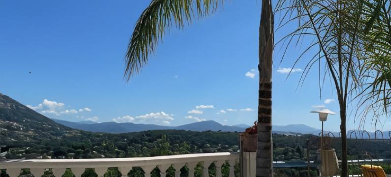 米拉玛尔酒店(Hôtel Miramar)图片