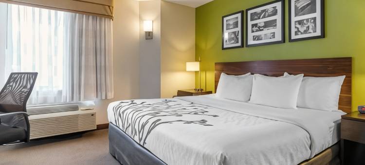 舒眠酒店-萨凡纳北95号州际公路(Sleep Inn I-95 North Savannah)图片