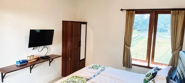 Twin House Jogja图片