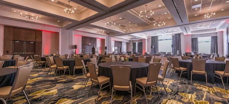 洲际酒店集团假日酒店底特律西北 - 利沃尼亚(Holiday Inn Detroit Northwest - Livonia)图片