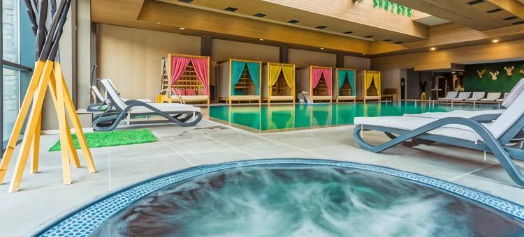 阿尔特水疗公园酒店(Hotel Arte Spa & Park)图片