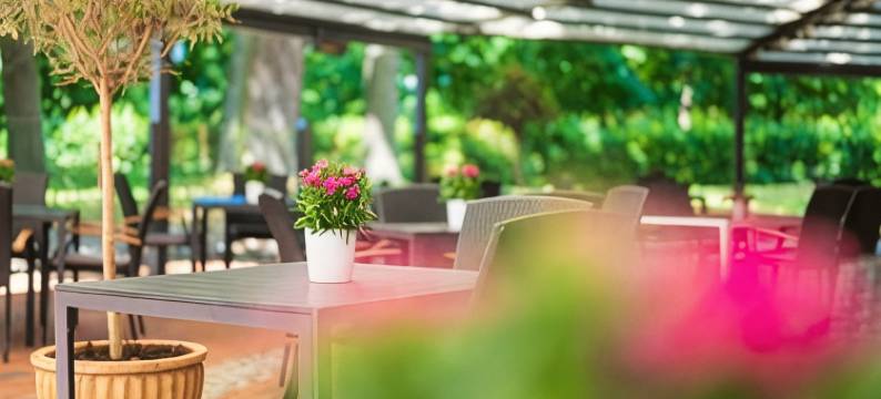 因瑟尔斯库尔豪斯酒店(Kurhaus am Inselsee)图片