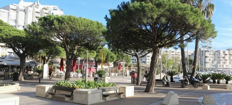 Studio Aphyllante, Carnon Plage, 3 étoiles图片