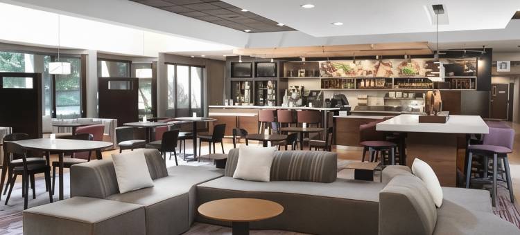 达拉斯拉斯科琳娜万怡酒店(Courtyard Dallas Las Colinas)图片