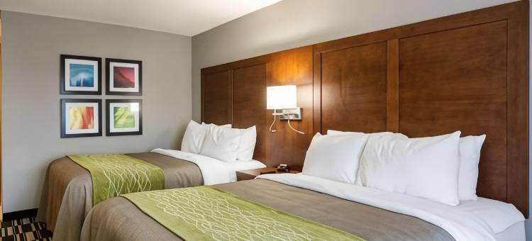 亚什兰帝王之城游乐园附近凯艺套房酒店(Quality Inn & Suites Ashland Near Kings Dominion)图片