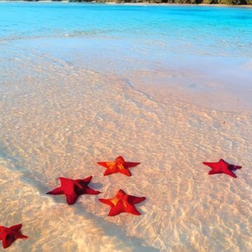 越南富国岛5日4晚自由行