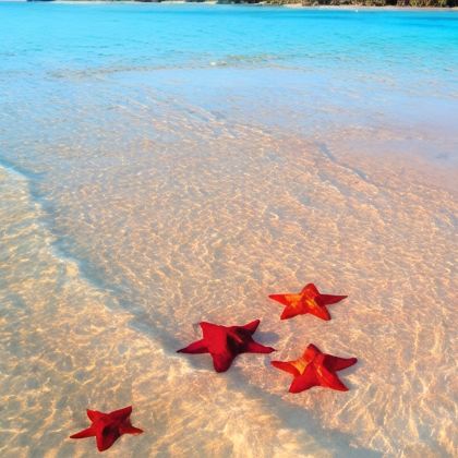 越南富国岛6日5晚私家团