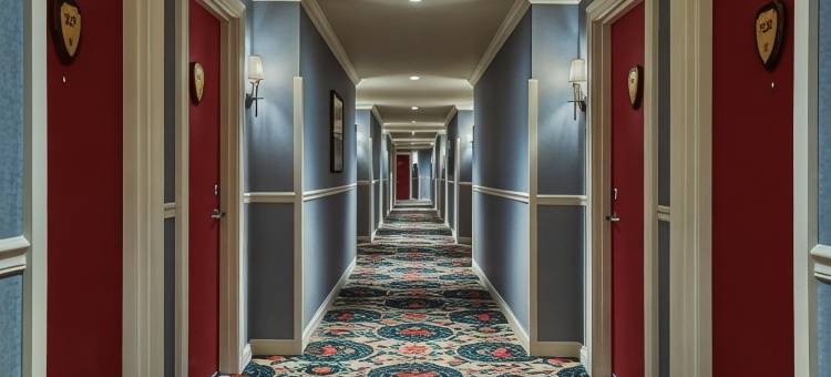 希尔顿布卢明顿研究生酒店(Graduate by Hilton Bloomington)图片