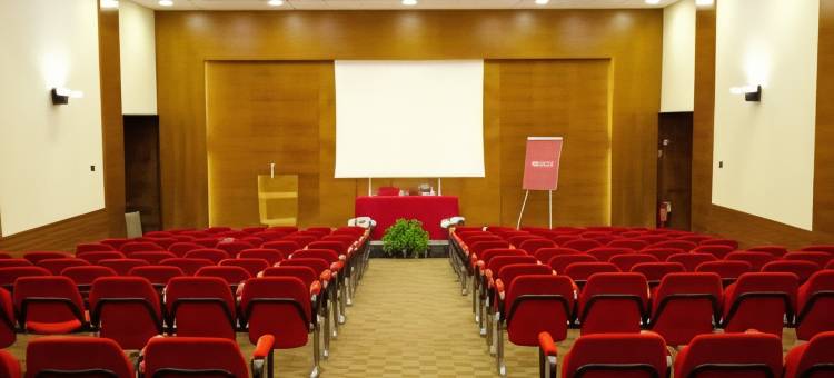 锡耶纳福朋喜来登酒店(Four Points by Sheraton Siena)图片