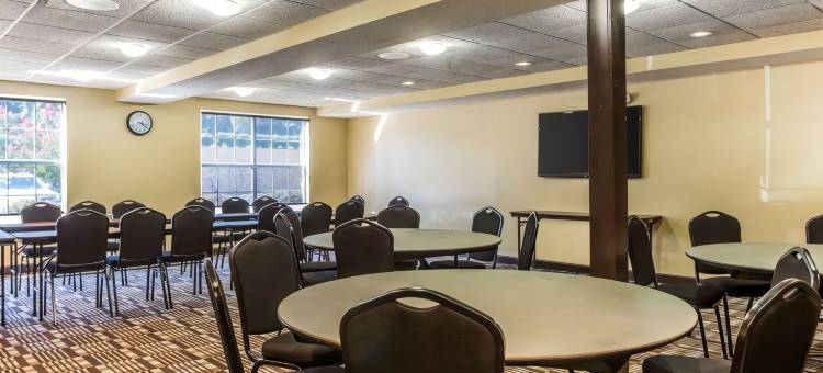 棒球场区舒适套房酒店(Comfort Inn & Suites Ballpark Area)图片