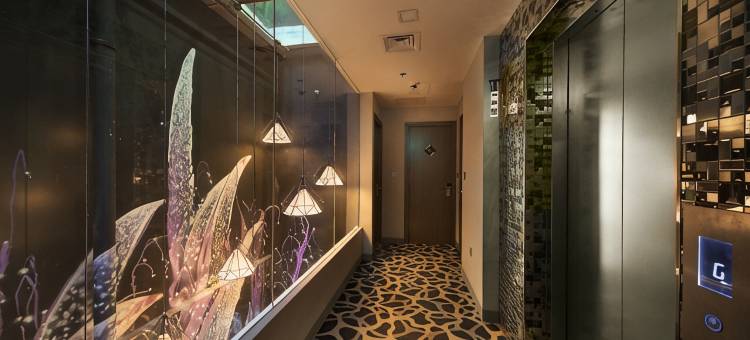 四叶草 7 酒店(Hotel Clover 7)图片