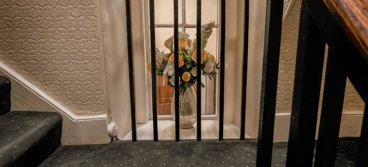 常春藤旅馆(Ivy House B&B)图片