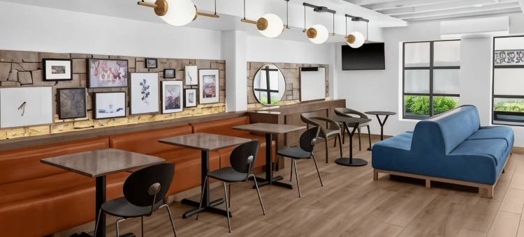 华盛顿特区乔治城 ARC 酒店(Arc Hotel Washington DC, Georgetown)图片