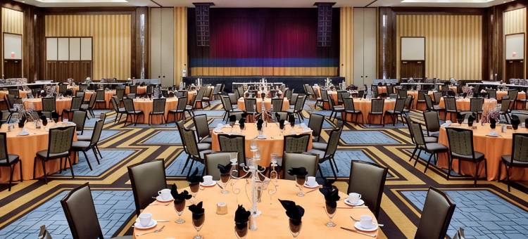 蓝筹娱乐场酒店及水疗中心(Blue Chip Casino Hotel and Spa)图片