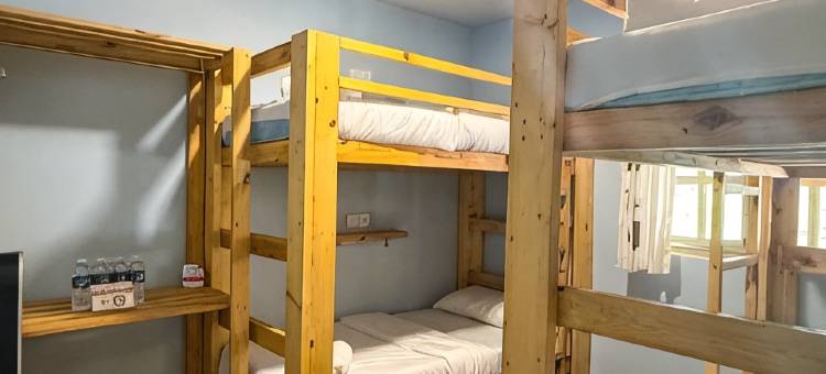 Alpaca Club Homestay图片