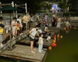 佘山度假區秋季活動，燈潮夜遊睡蓮展登場