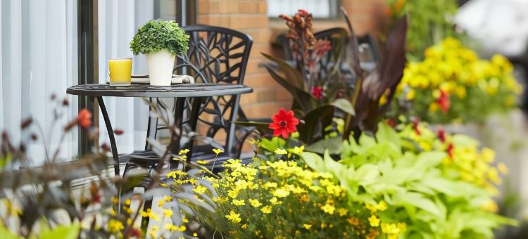 舒适酒店(Comfort Inn)图片