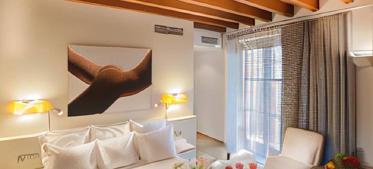 特雷斯佩蒂特宫酒店(Petit Palace Hotel Tres)图片