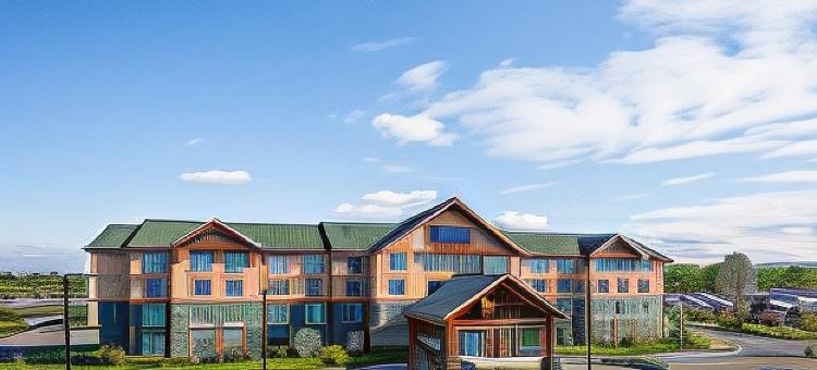 安克雷奇市中心区万枫酒店(Fairfield Inn & Suites Anchorage Midtown)图片