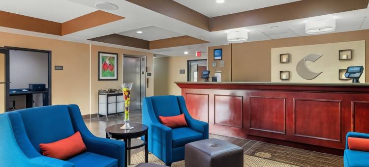 舒适套房酒店(Comfort Inn & Suites)图片