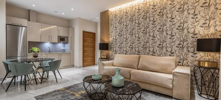 皇家法院比博套房(BiBo Suites Real Chancilleria)图片