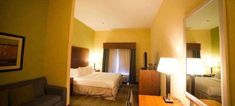 亚特兰大东 - 利松尼亚智选假日酒店及套房(Holiday Inn Express & Suites ATLANTA EAST - LITHONIA by IHG)图片