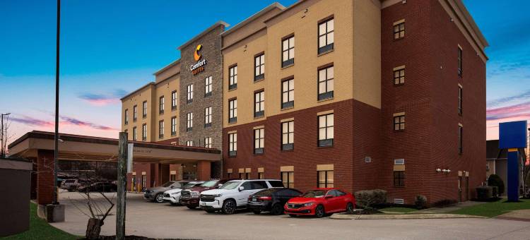 纳什维尔舒适套房酒店(Comfort Suites)图片