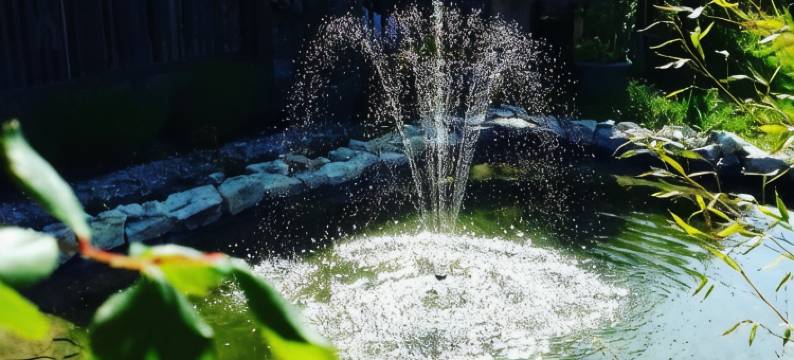 拉丰特奈尔住宿加早餐旅馆(La Fontenelle Chambres d'Hôtes)图片