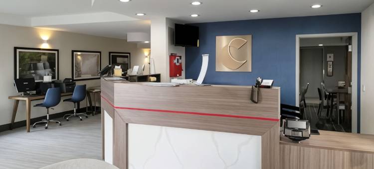 舒适酒店及套房-怀奥米辛雷丁(Comfort Inn & Suites Wyomissing-Reading)图片