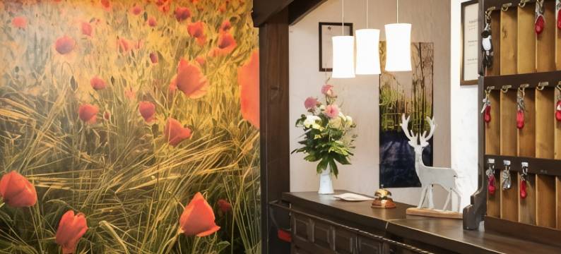 索奈酒店(Hotel an der Sonne & Restaurant Zum Schneiger)图片