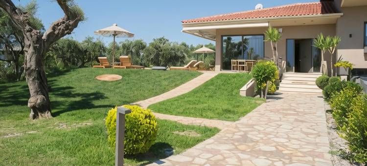 埃拉亚橄榄树丛(Elaia Grove)图片