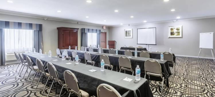 智选假日套房酒店查尔斯湖(Holiday Inn Express & Suites Lake Charles)图片