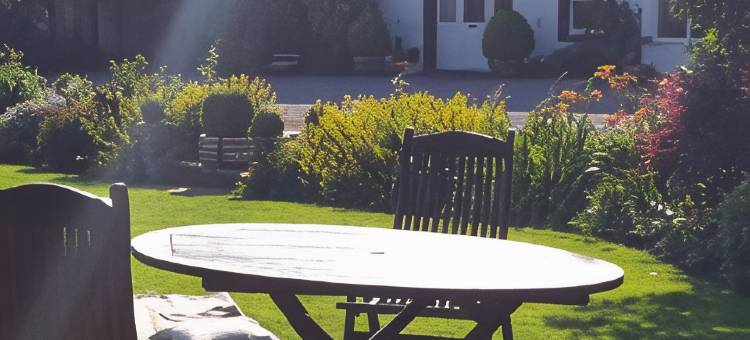 白房子旅馆(The White House Guest House)图片