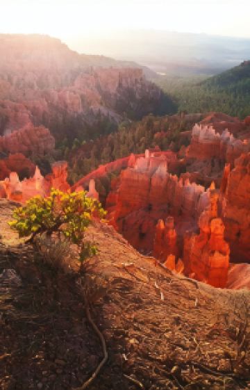美国西海岸+洛杉矶市+旧金山+拉斯维加斯+优胜美地国家公园9日8晚跟团游图片