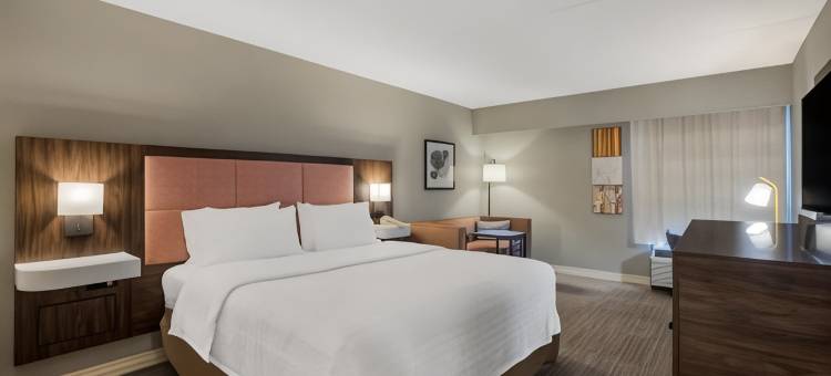 希尔顿欢朋酒店-费城威洛格罗夫(Hampton Inn Philadelphia/Willow Grove)图片