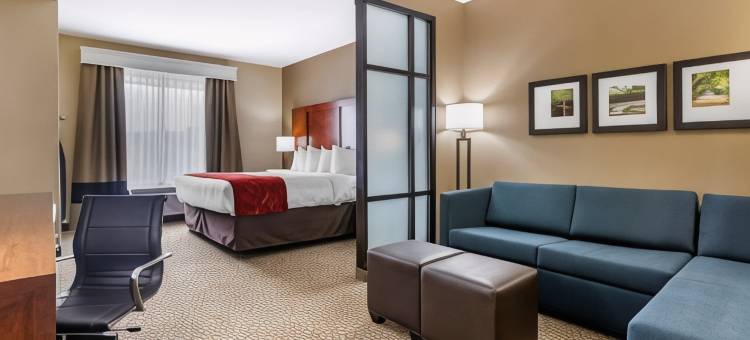 佛伦伦萨I-95舒适套房酒店(Comfort Suites Florence I-95)图片