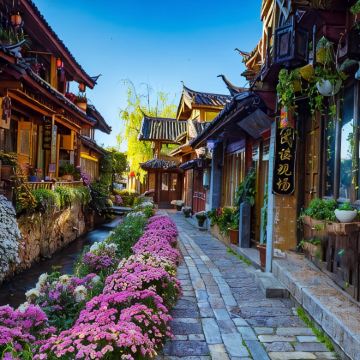 昆明+大理市+丽江+西双版纳8日7晚跟团游