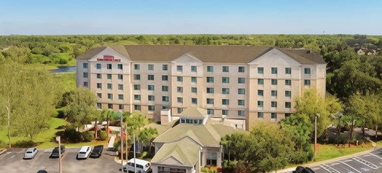 坦帕北希尔顿花园酒店(Hilton Garden Inn Tampa North)图片