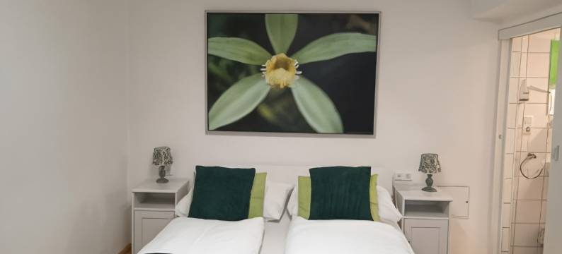 姜戈夫施城市酒店(Cityhotel Junger Fuchs)图片