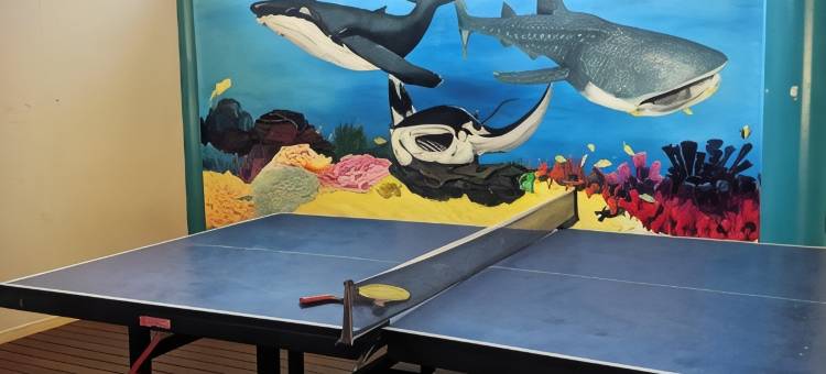 宁格罗珊瑚湾背包客旅馆(Ningaloo Club Backpackers)图片