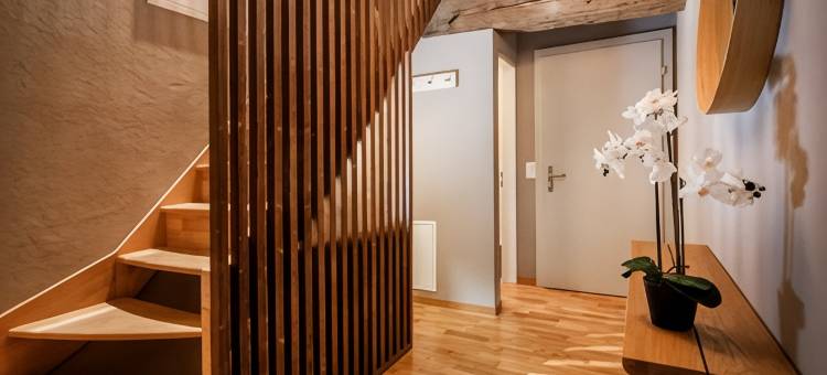 罗特尔奥克森酒店(Hotel Roter Ochsen)图片