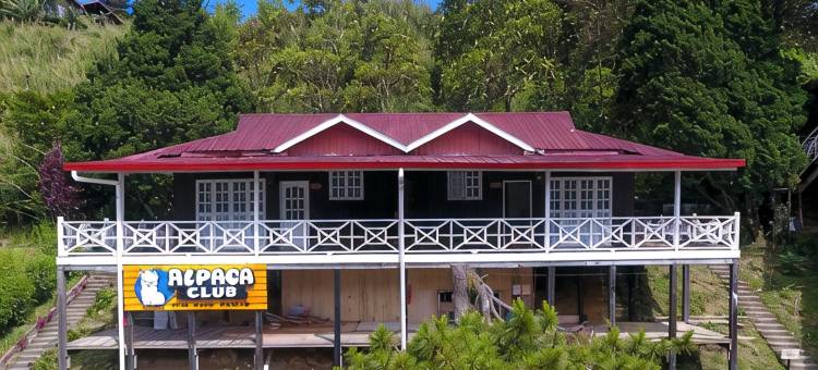 Alpaca Club Homestay图片