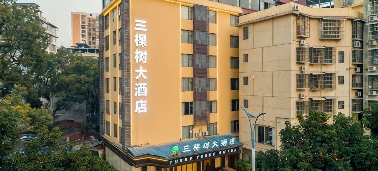 桂林三棵树大酒店(桂林火车站万象城店)图片