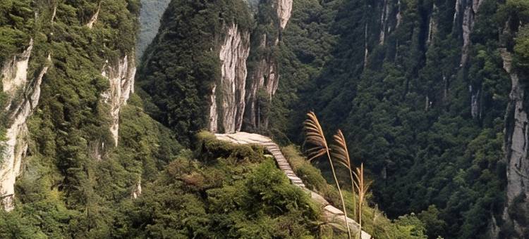 忘不了客栈(德夯大峡谷景区店)图片