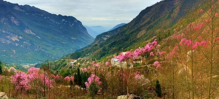 北川古猿山庄农家乐图片