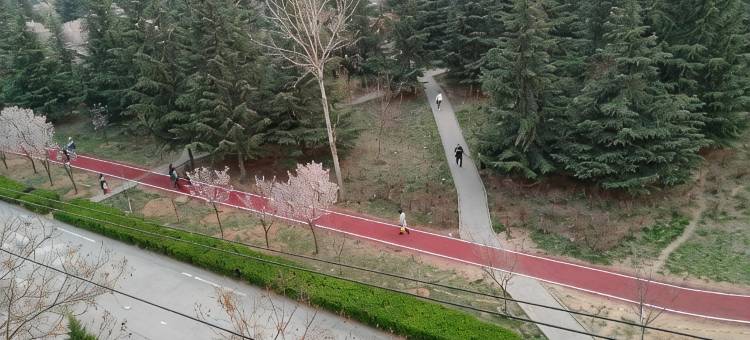 铜川樱花苑宾馆图片