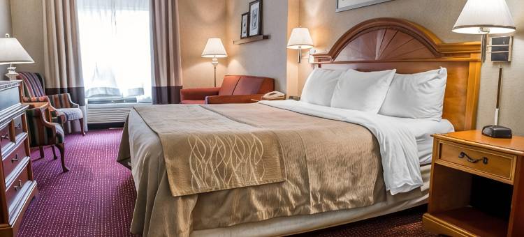梅多兰兹舒适酒店(Comfort Inn Meadowlands)图片